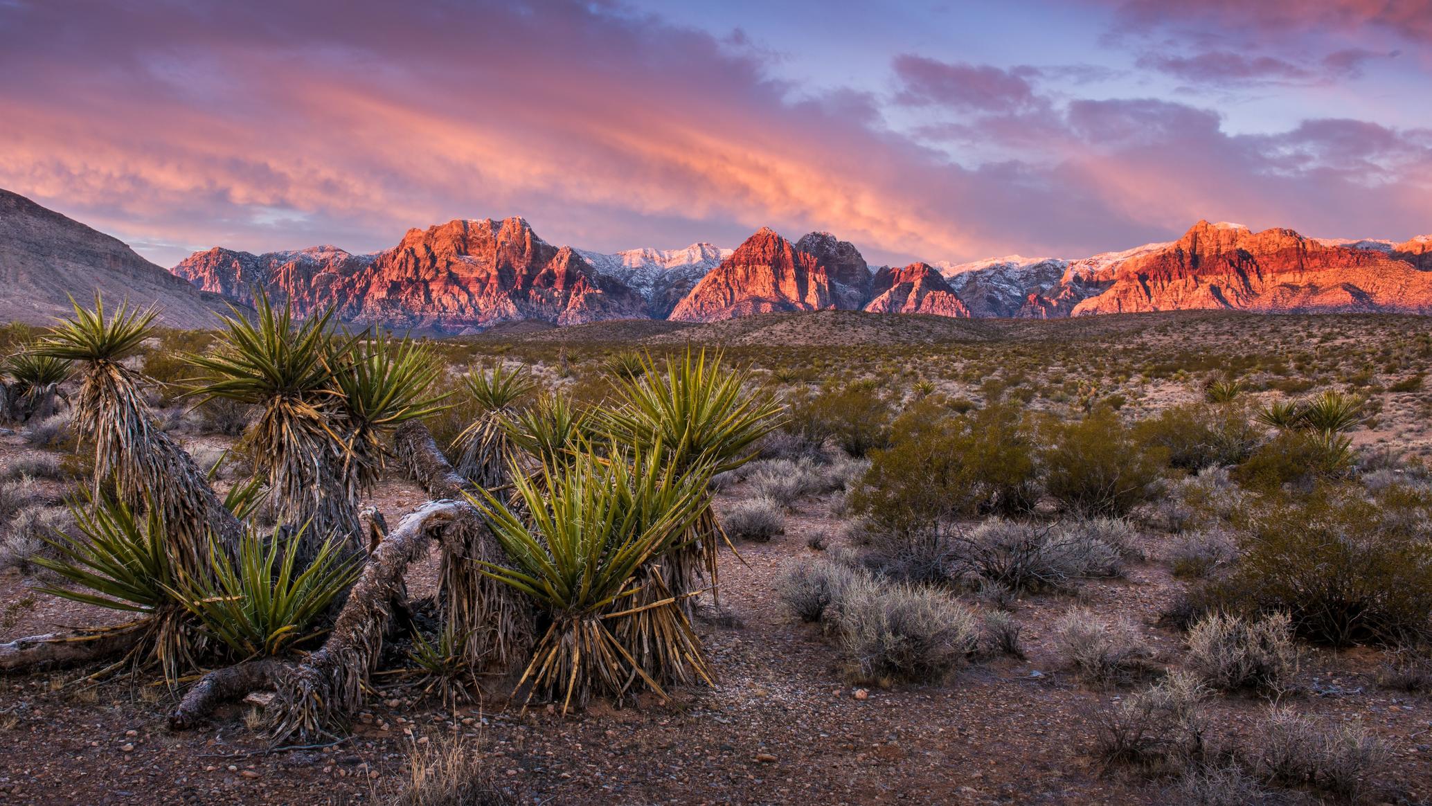 Easy Guide to Funeral Homes in Nevada