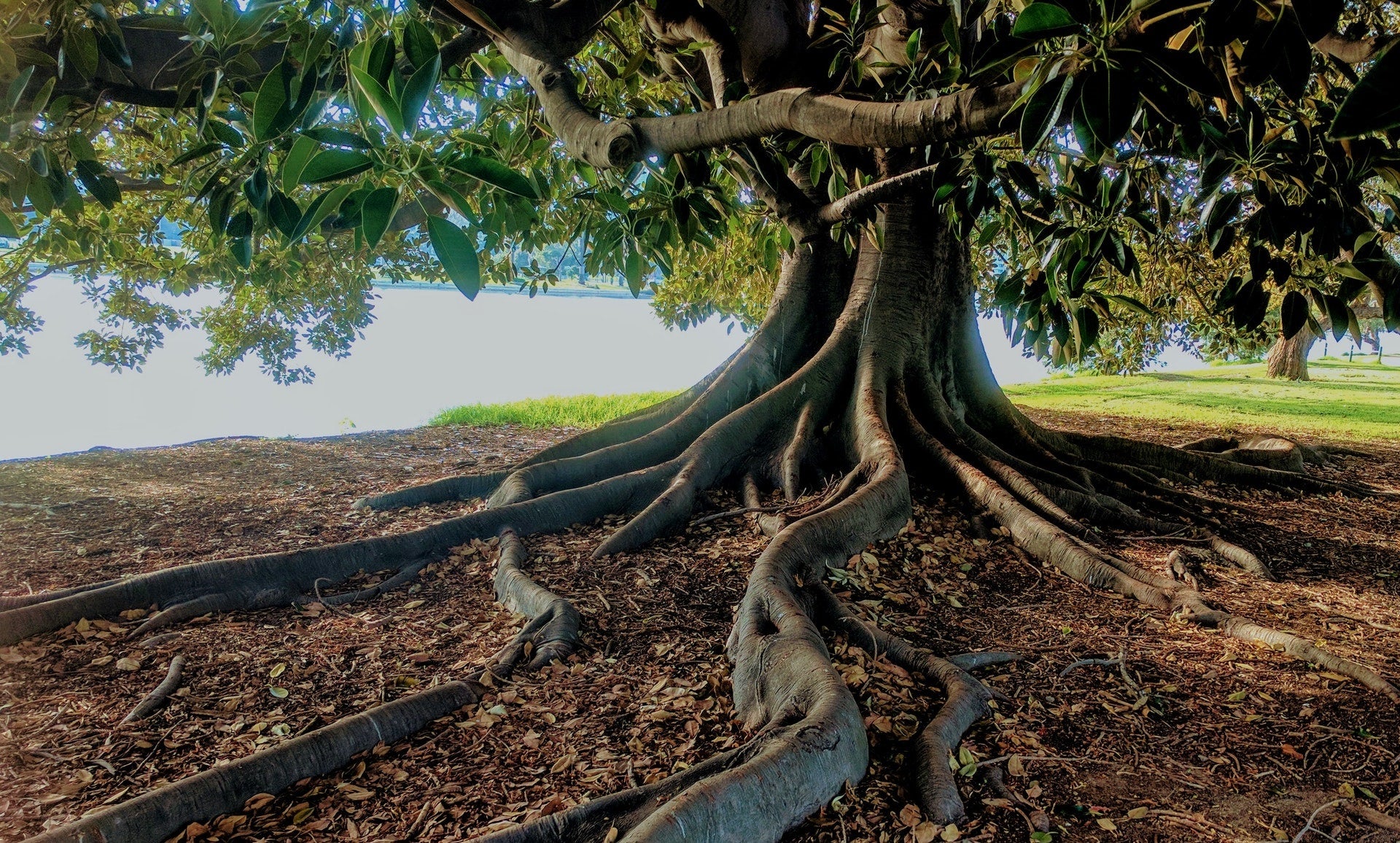 Article about biodegradable urns laws in europe by Pulvis Art Urns.