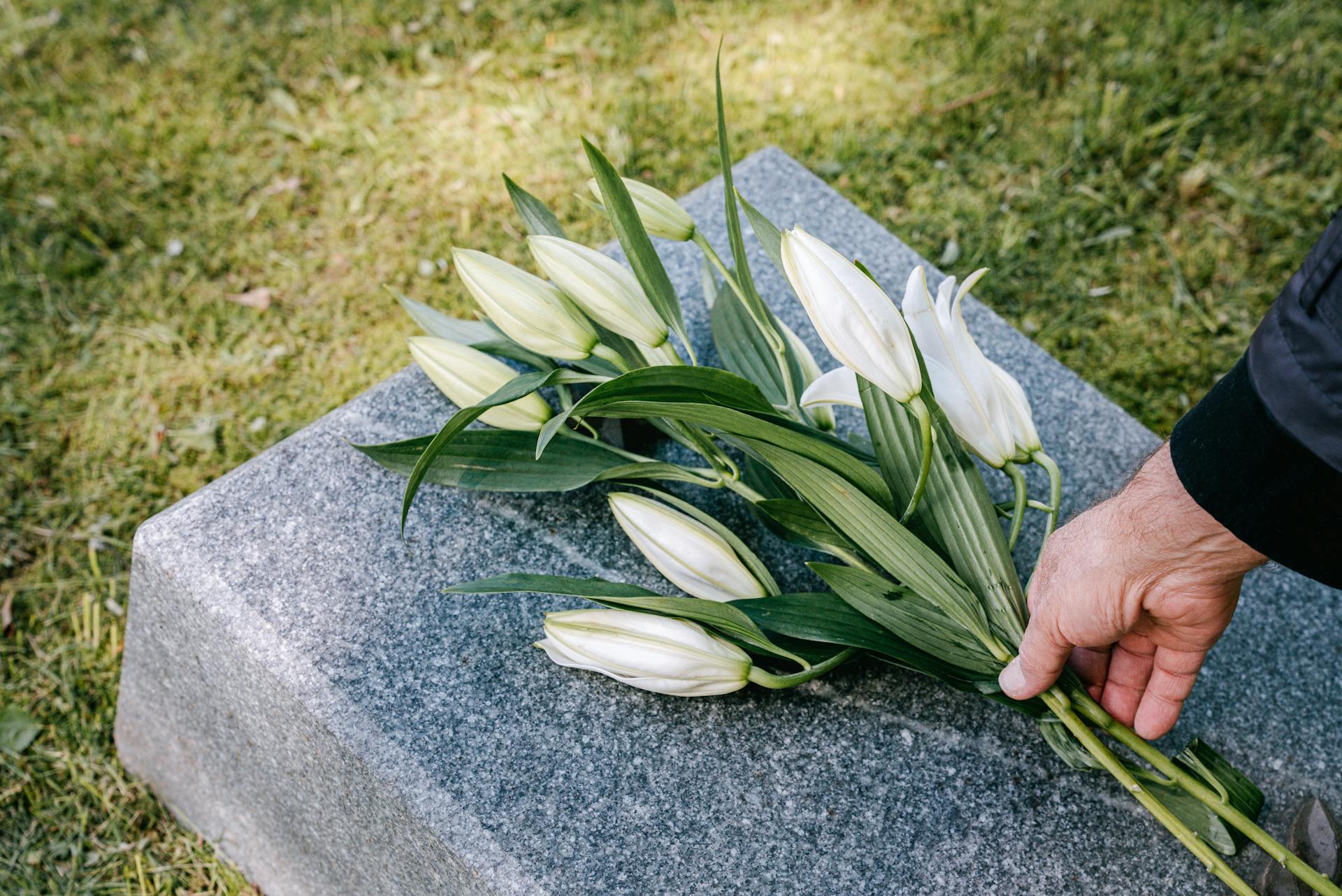 Did You Know About Green Burials? Here's What You Need to Know