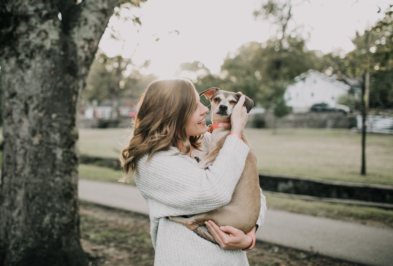 Can a Pet’s Ashes Be Turned Into a Diamond?