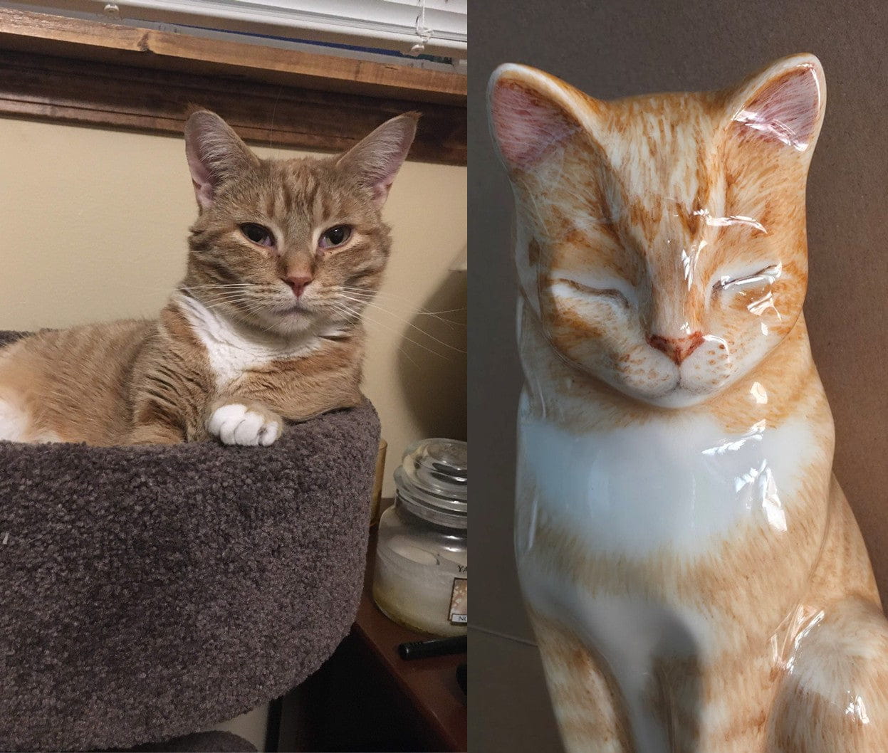 Comparison of a real cat and its ceramic replica on a white background