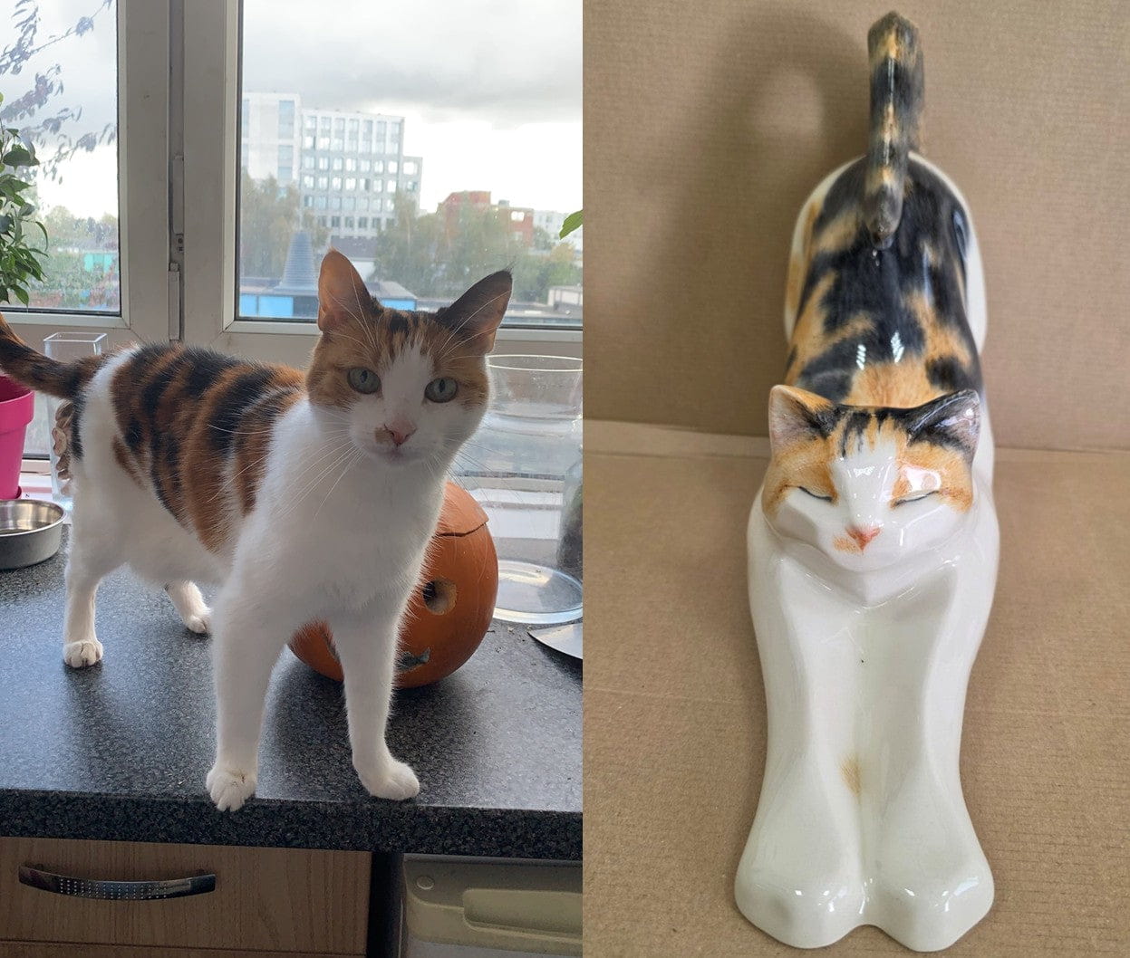Comparison of a real cat and its ceramic urn replica by Pulvis Art Urns . Custom Decorated pet Urns
