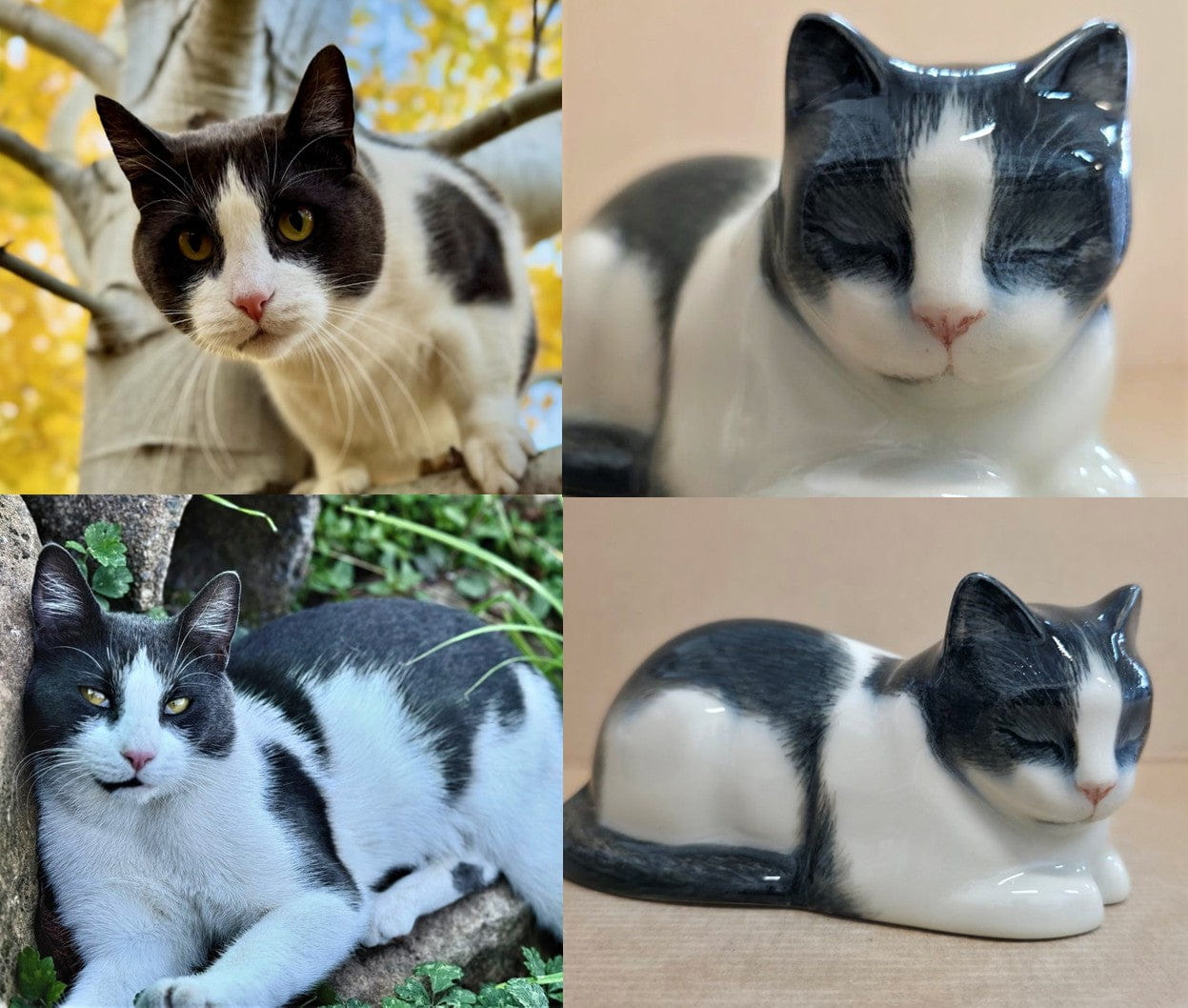 Comparison of a real cat and its ceramic urn replica by Pulvis Art Urns . Custom Decorated pet Urns