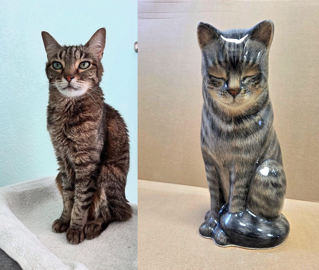 Comparison of a real cat and its ceramic urn replica by Pulvis Art Urns . Custom Decorated pet Urns