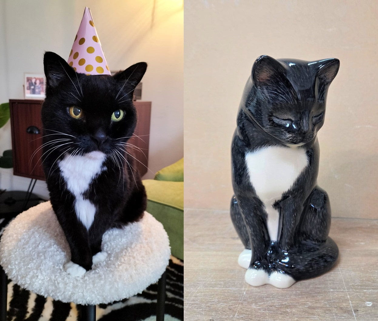 Comparison of a real cat and its ceramic urn replica by Pulvis Art Urns . Custom Decorated pet Urns