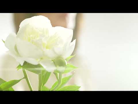 Memorial Cremation Necklace – Wings | Silver | Handmade Cremation Jewelry