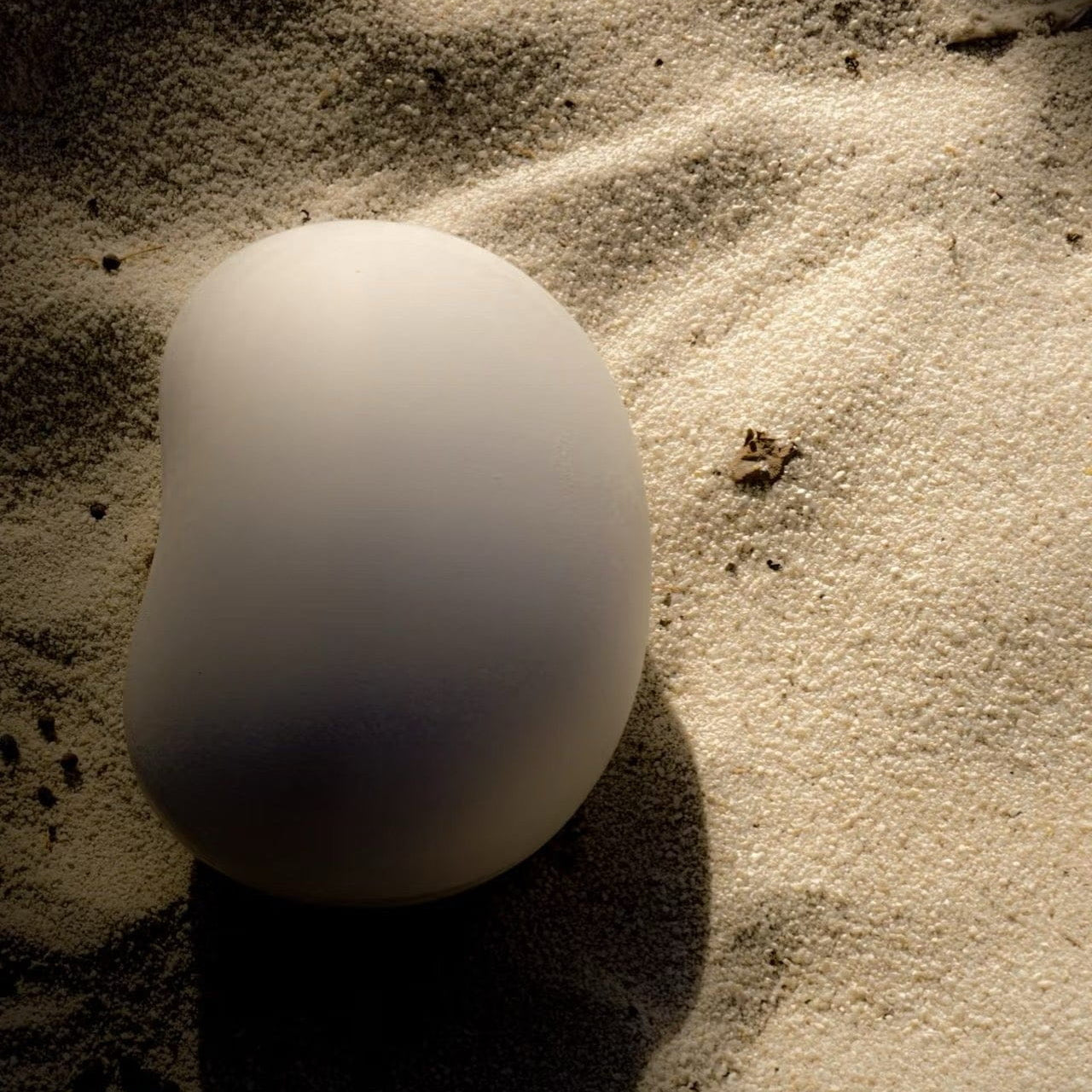 Pulvis Art Urns Biodegradable Urn Biodegradable Pet Urn "Peanut" | Customizable Burial Memorial for Pets