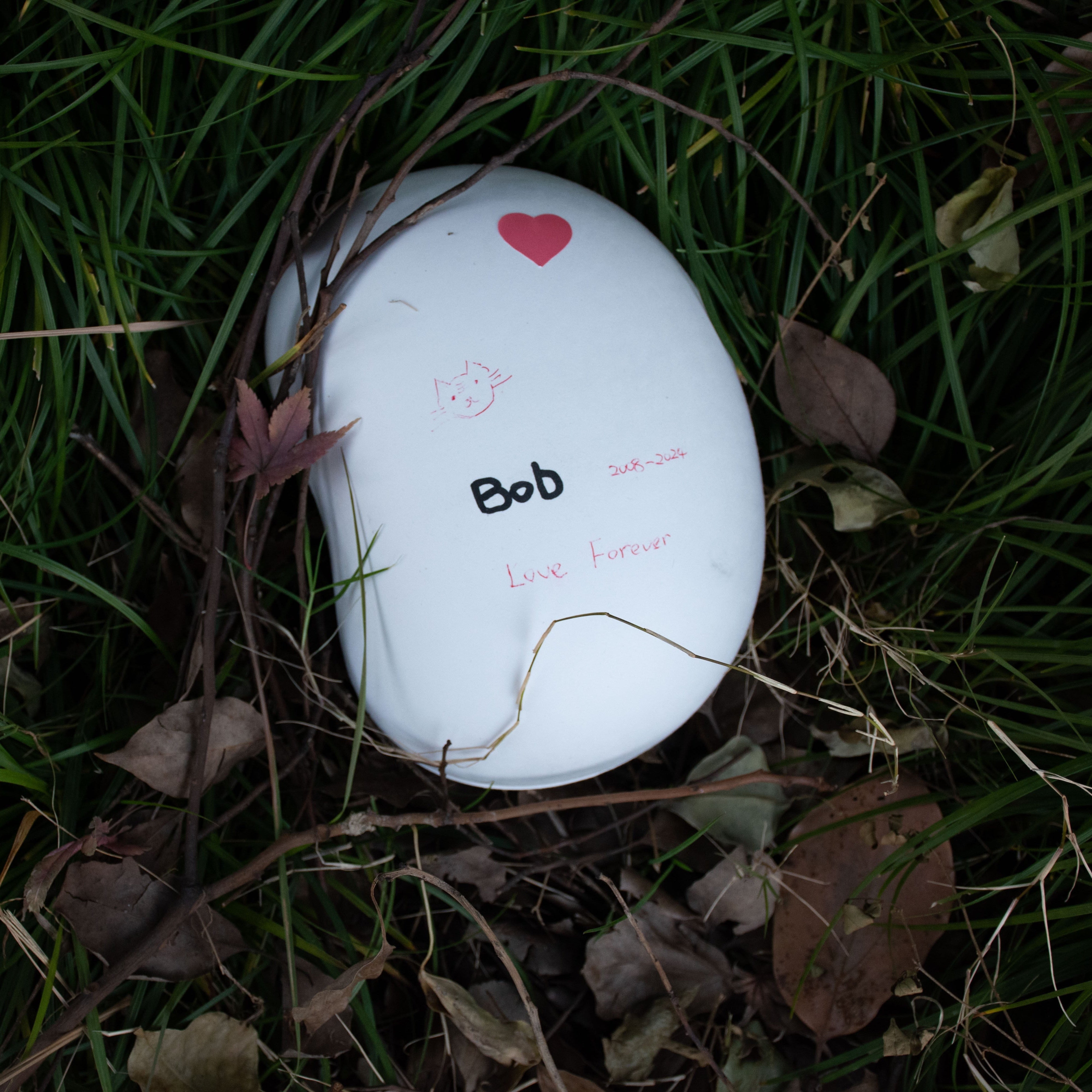 Pulvis Art Urns Biodegradable Urn Biodegradable Pet Urn "Peanut" | Customizable Burial Memorial for Pets