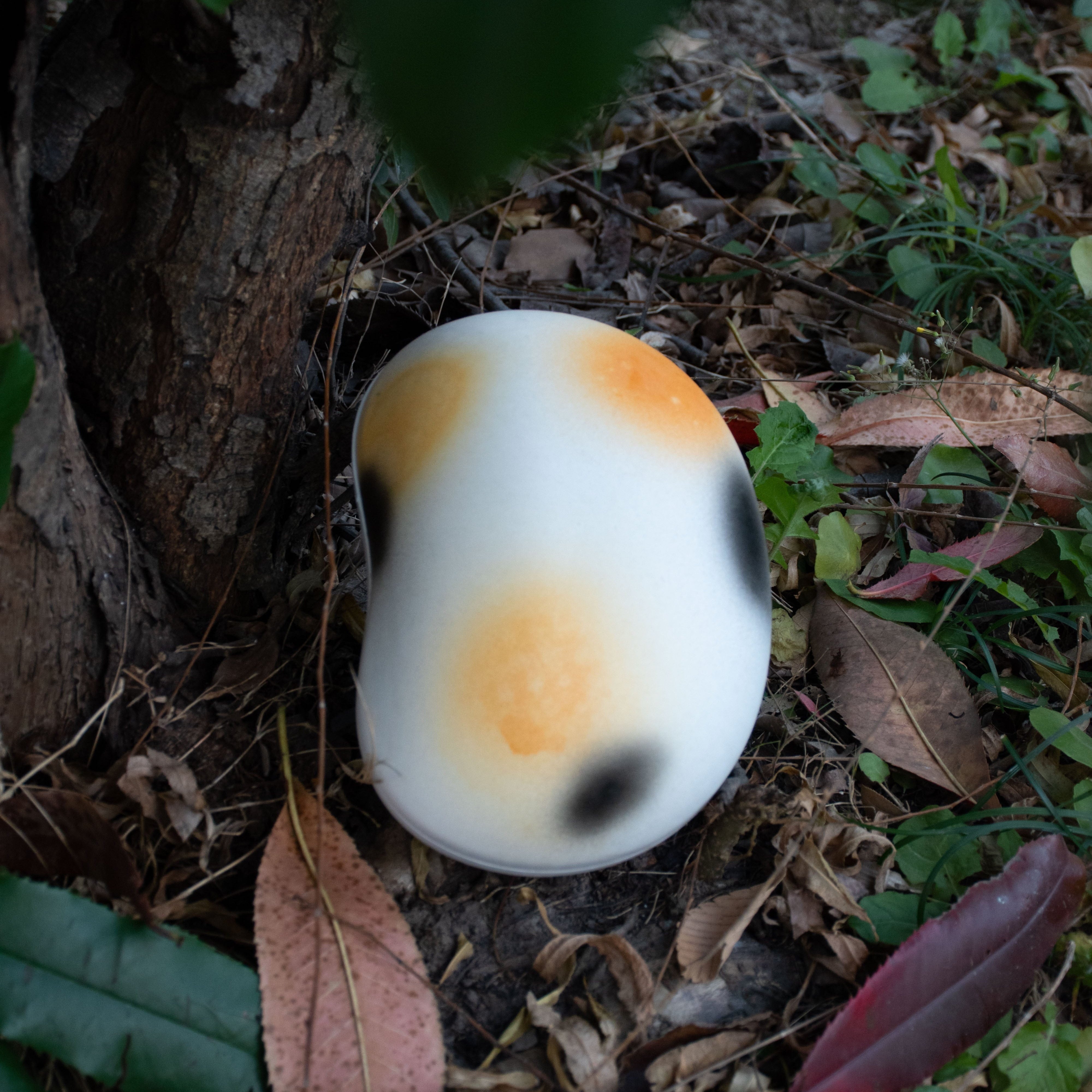 Pulvis Art Urns Biodegradable Urn Biodegradable Pet Urn "Peanut" | Customizable Burial Memorial for Pets