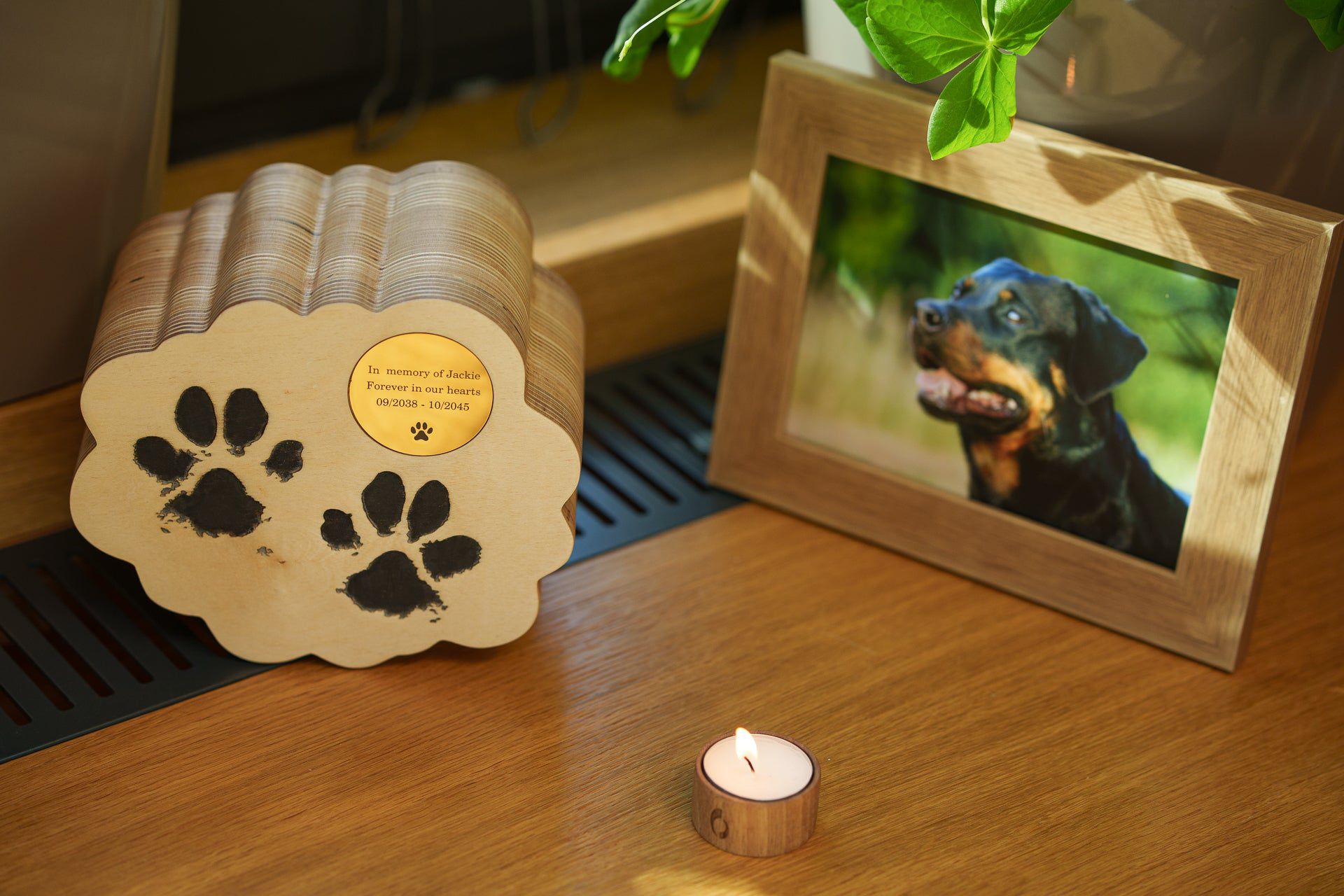 Paws from Heaven Pet Urn - Plywood | Handmade Pet Memorial - Pulvis Art Urns