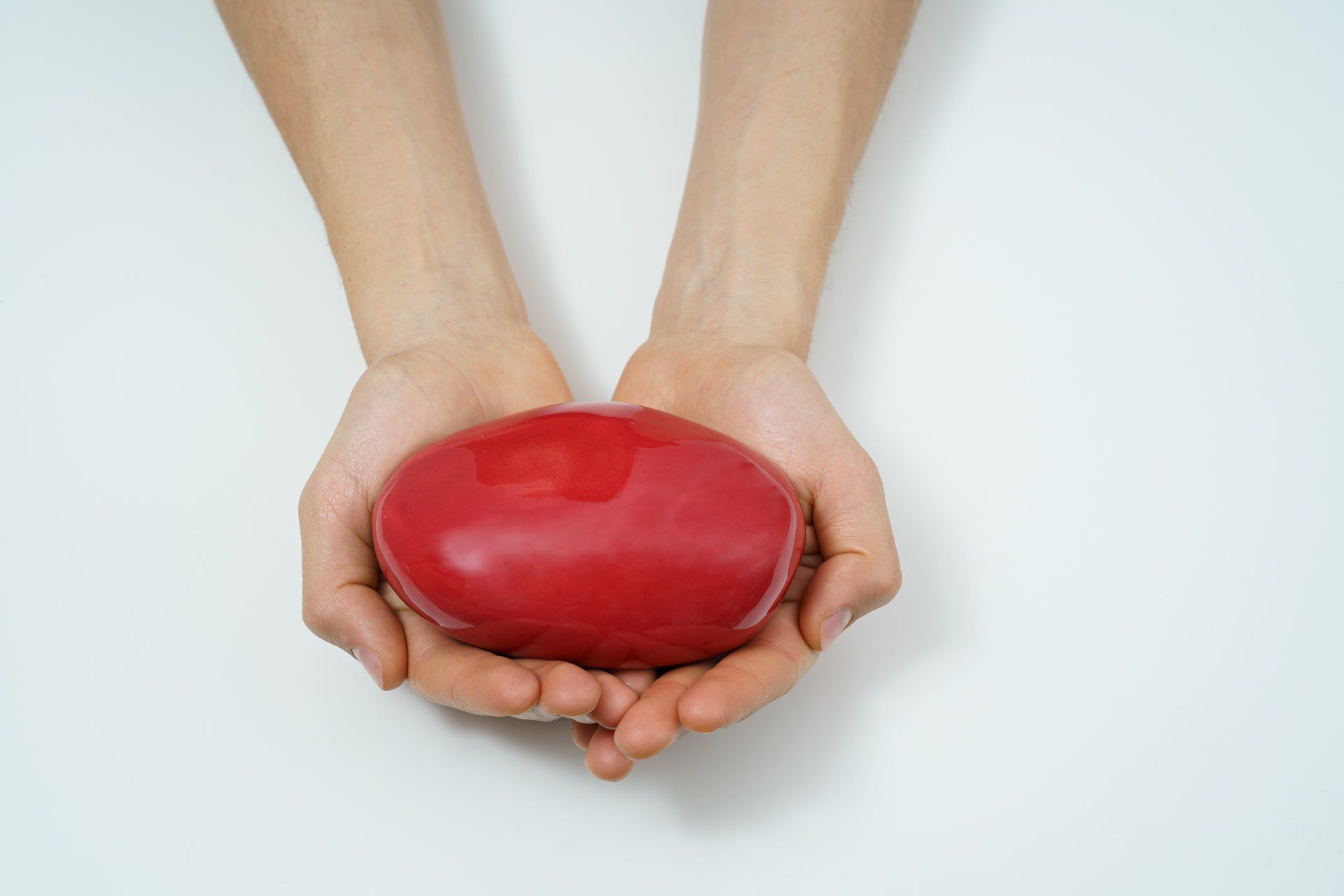 Reptile Pet Urn - Dark Green | Ceramic | HydroGraphics - Pulvis Art Urns