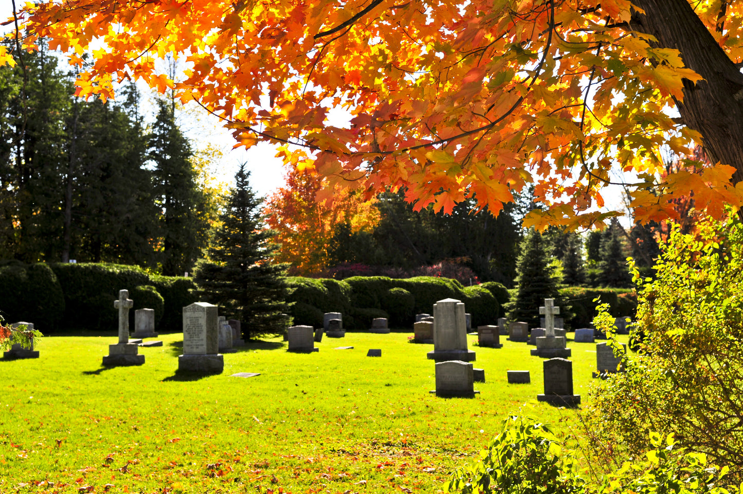 Cemetery in fall season. Burying Cremation Ashes. Article by Pulvis Art Urns