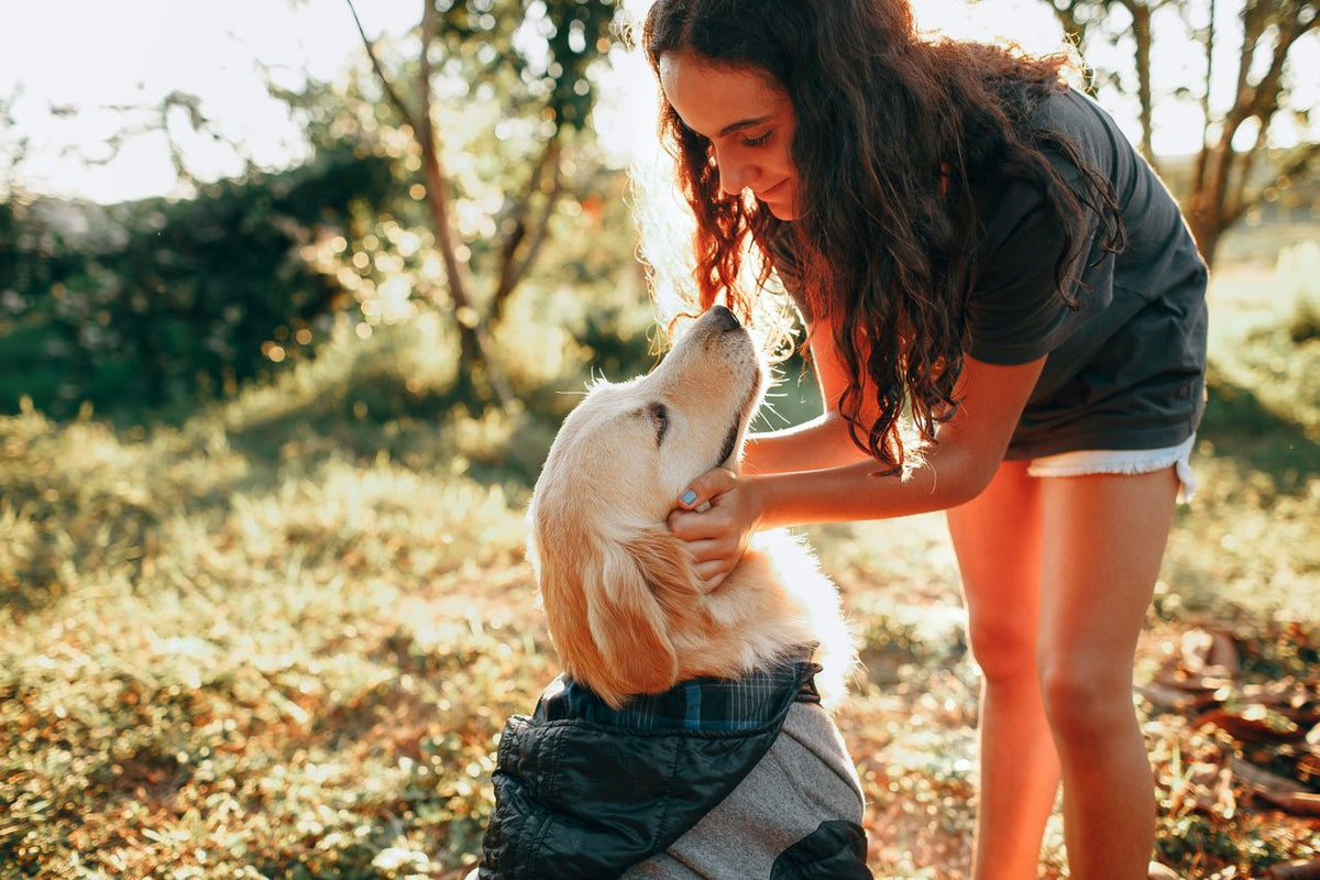 The Pet as a Witness to a Human Life