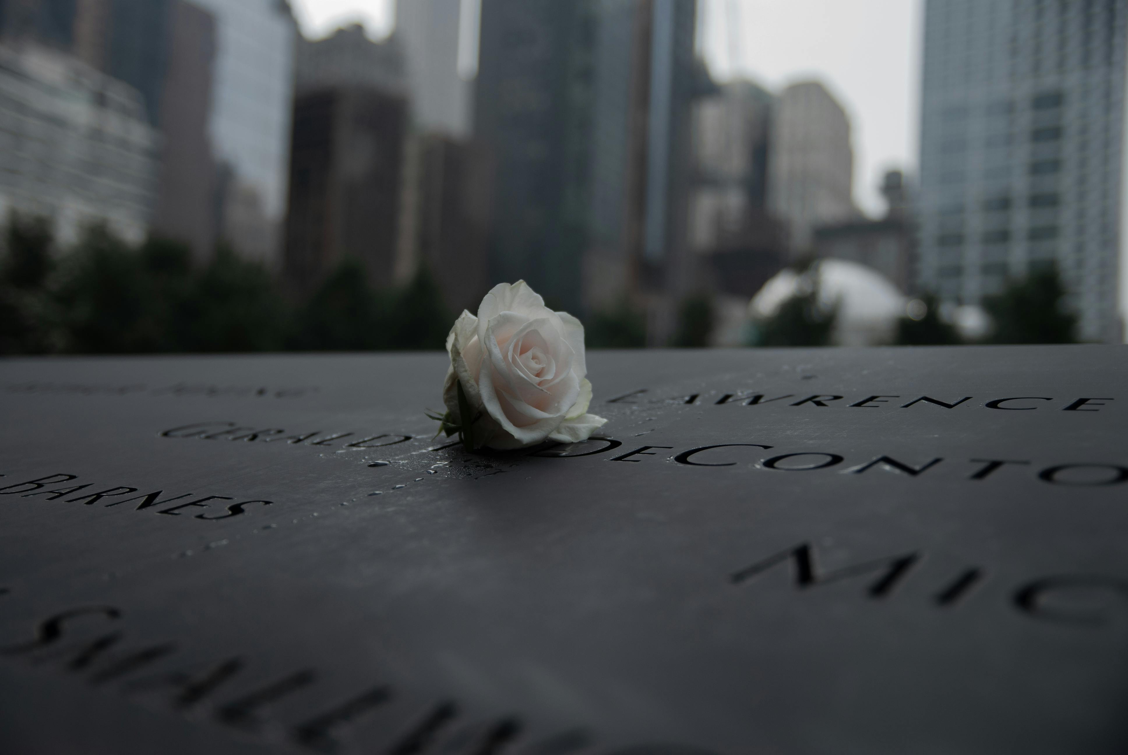 Comparing Memorial Urns for Human Ashes and Pet Urns: Key Differences