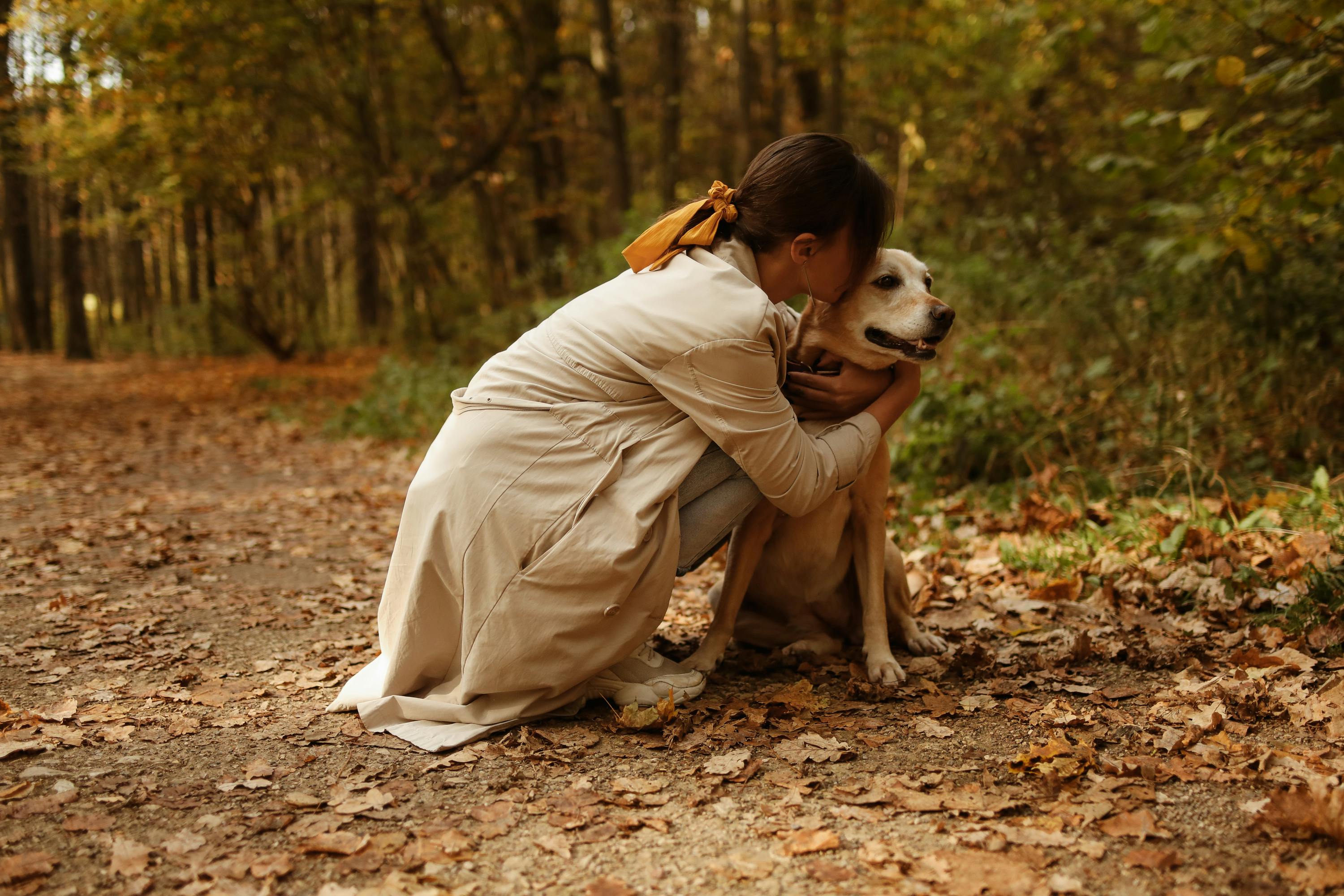 Personalized Dog Urns Creating a One of a Kind Tribute