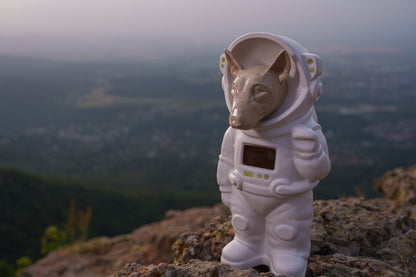 Urn for Ashes Astronaut Dog Bull Terrier. Handmade Customisable Dog Cremation Urn. Handmade Astronaut Art Urn. Keepsake for Ashes by TenderRest. White Costume