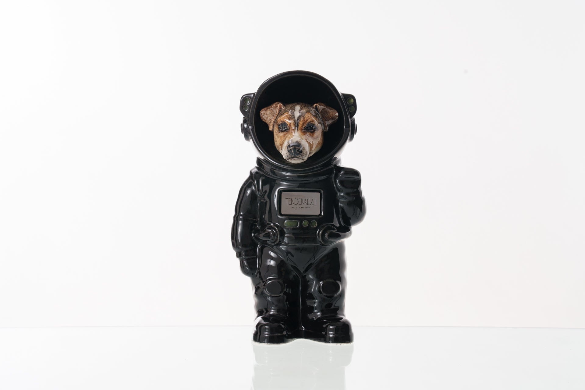 Jack Russel Black costume 
