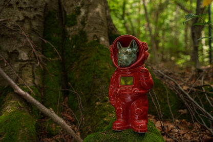 Urn for Ashes Astronaut Dog French Bulldog. Handmade Customisable Dog Cremation Urn. Handmade Astronaut Art Urn. Keepsake for Ashes by TenderRest. Red Costume