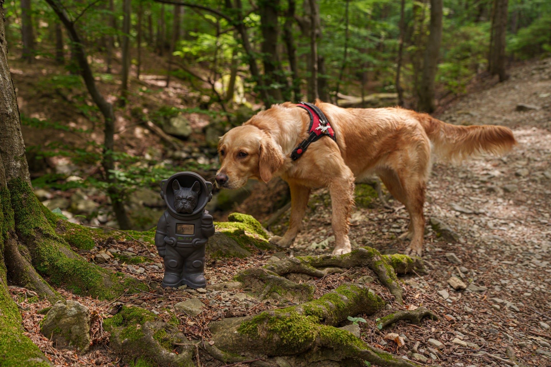 World's First Customizable Pet Memorial Urn