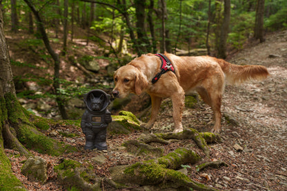 World's First Customizable Pet Memorial Urn
