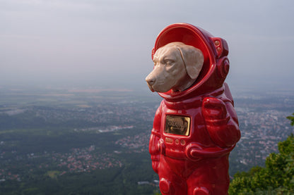 Urn for Ashes Astronaut Dog Labrador Retriever. Handmade Customisable Dog Cremation Urn. Handmade Astronaut Art Urn. Keepsake for Ashes by TenderRest. Red Costume