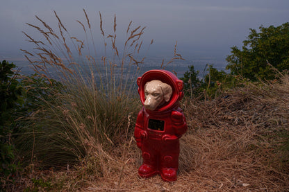 World's First Customizable Pet Memorial Urn - Cremation Pet Urn. Dogs Urn. Astronaut Costume