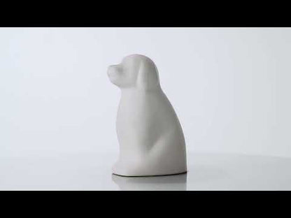 Dog Urn video. Pet Urn by Pulvis