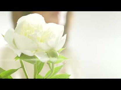 Memorial Cremation Necklace – Wings | Silver | Handmade Cremation Jewelry