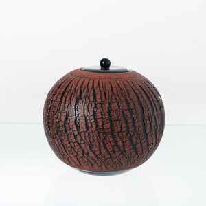 Pulvis Art Urns Adult Size Urn Handmade Cremation Urn "Aurea" - Large | Pottery Wheel Urn