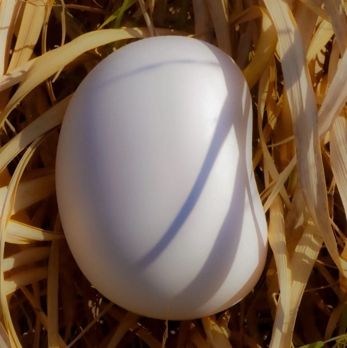 Pulvis Art Urns Biodegradable Urn Biodegradable Pet Urn "Peanut" | Customizable Burial Memorial for Pets