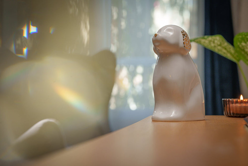 Pulvis Art Urns Pet Urn "Cuddle" Pet Urn for Dog - White Matte | Ceramic | Handmade