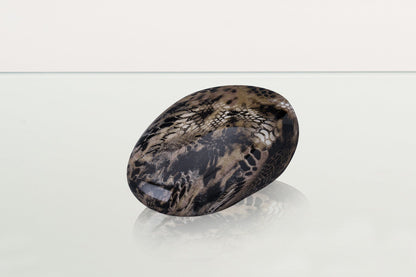 Snake Pet Urn - Beige | Ceramic | HydroGraphics - Pulvis Art Urns