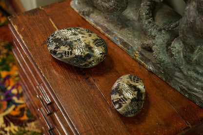 Snake Pet Urn - Beige | Ceramic | HydroGraphics - Pulvis Art Urns