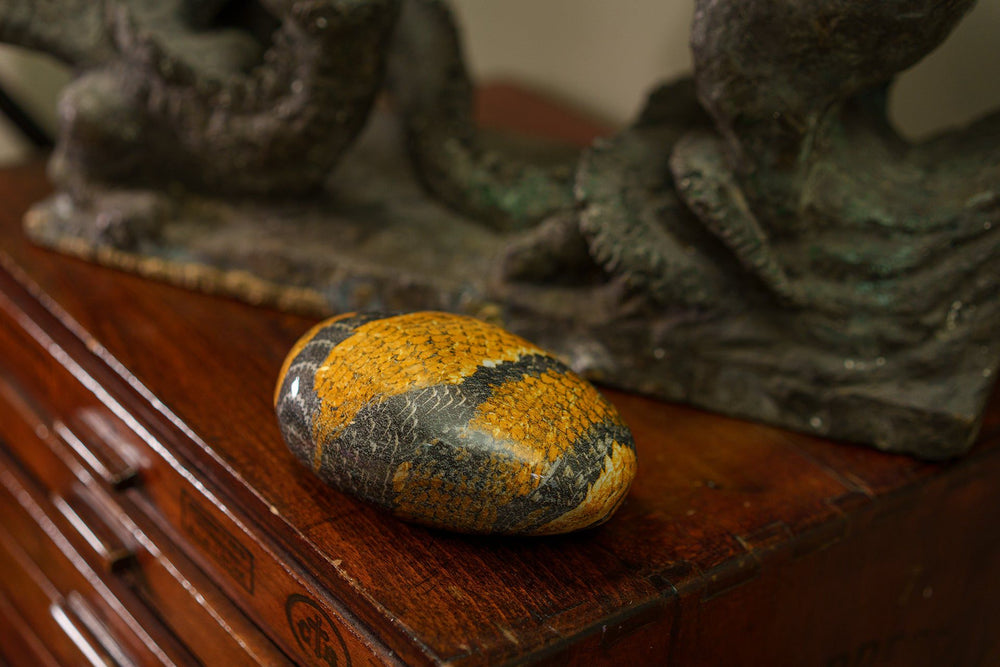 Snake Pet Urn - Yellow | Ceramic | HydroGraphics