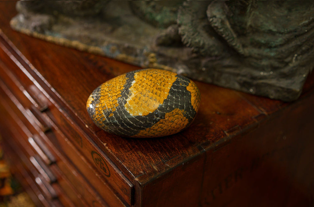 Snake Pet Urn - Yellow | Ceramic | HydroGraphics
