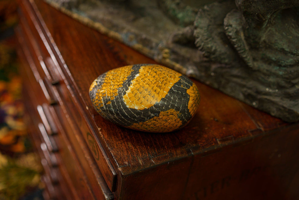 Snake Pet Urn - Yellow | Ceramic | HydroGraphics