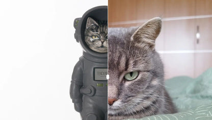 Customizable Pet Cremation Urn - Cat | Ceramic Handmade Figure - Pulvis Art Urns