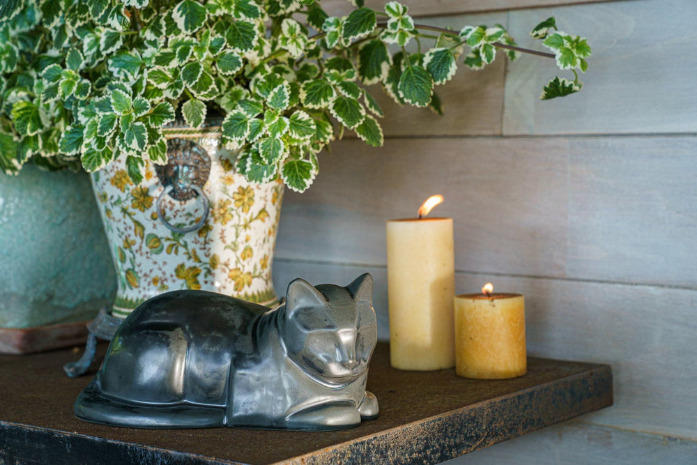 
                  
                    Cat Cremation Urn for Ashes - Black Matte | Ceramic | Handmade
                  
                