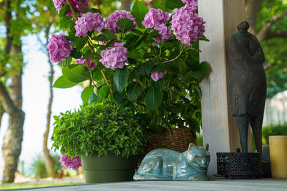 Cat Cremation Urn for Ashes - Green Melange | Ceramic | Handmade Pet Urn - Pulvis Art Urns