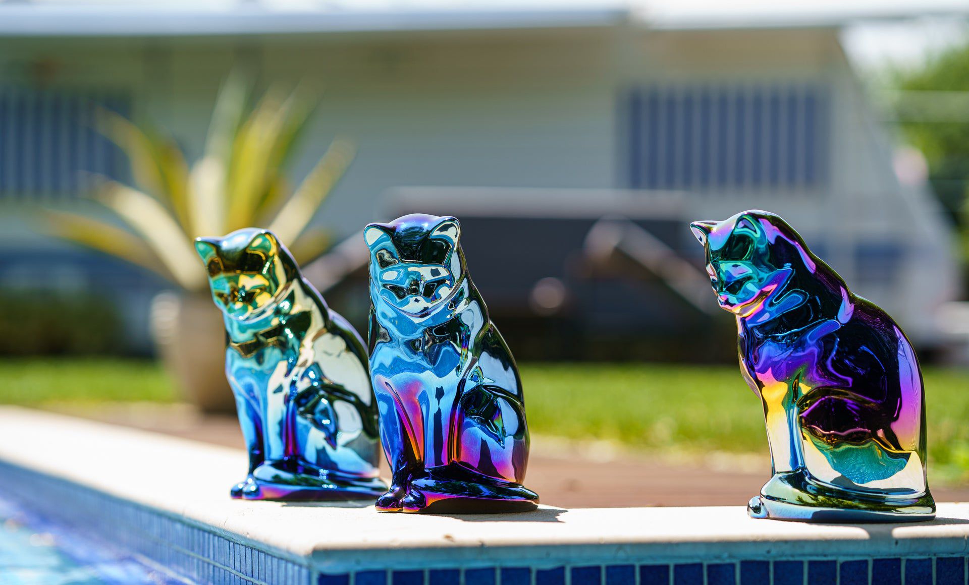 Neko Pet Urn for Ashes - Glossy Blue | Ceramic | Handmade - Pulvis Art Urns